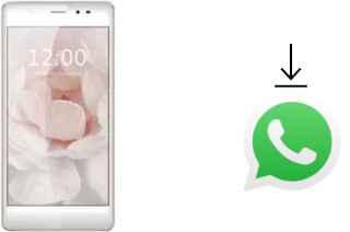 So installieren Sie WhatsApp auf einem Leagoo T1