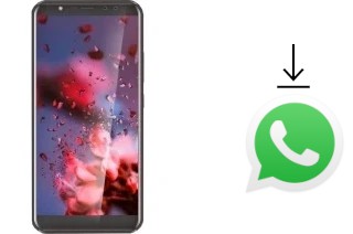 So installieren Sie WhatsApp auf einem Leagoo Z15