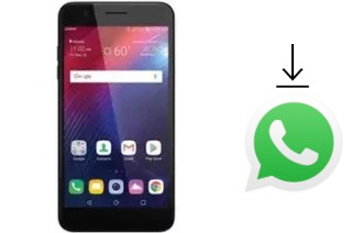 So installieren Sie WhatsApp auf einem LG Harmony 2