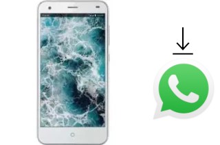 So installieren Sie WhatsApp auf einem Lyf Water 3