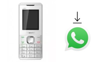 So installieren Sie WhatsApp auf einem Masstel C105I