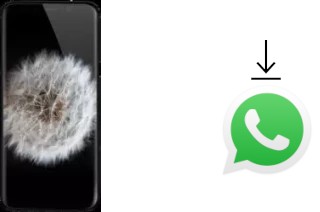 So installieren Sie WhatsApp auf einem Meiigoo Note 8