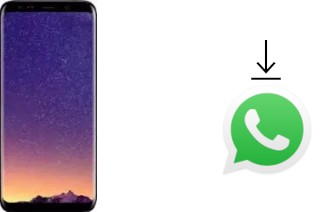 So installieren Sie WhatsApp auf einem Meiigoo S8