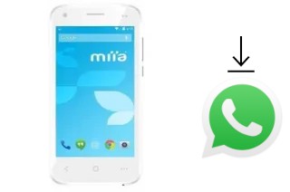 So installieren Sie WhatsApp auf einem Miia MP-410