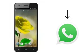 So installieren Sie WhatsApp auf einem Mobiola MS50A5000