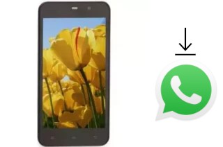 So installieren Sie WhatsApp auf einem Mobitel 404