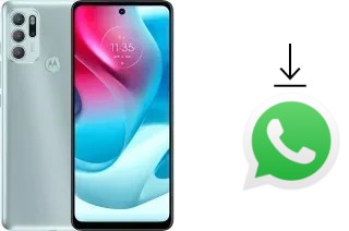 So installieren Sie WhatsApp auf einem Motorola Moto G60S