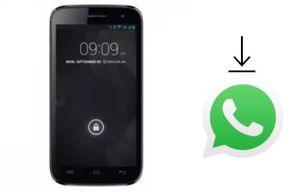 So installieren Sie WhatsApp auf einem Ninetology I9501