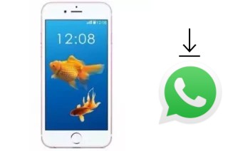 So installieren Sie WhatsApp auf einem Nipda Tsunami IP6 Plus