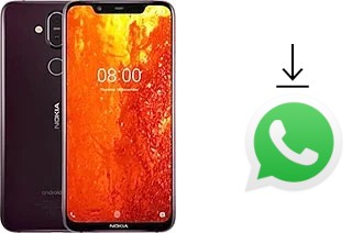 So installieren Sie WhatsApp auf einem Nokia 8.1 ( X7)