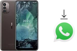 So installieren Sie WhatsApp auf einem Nokia G21