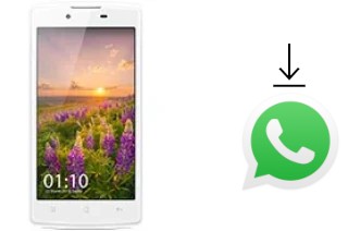 So installieren Sie WhatsApp auf einem Oppo Neo 3