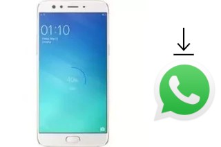 So installieren Sie WhatsApp auf einem Oppo R9S Pro