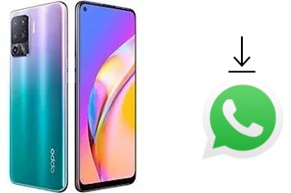 So installieren Sie WhatsApp auf einem Oppo A94