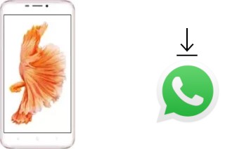 So installieren Sie WhatsApp auf einem Oukitel U20 Plus