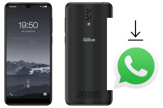 So installieren Sie WhatsApp auf einem Qilive Q3