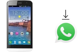 So installieren Sie WhatsApp auf einem QMobile Noir A550