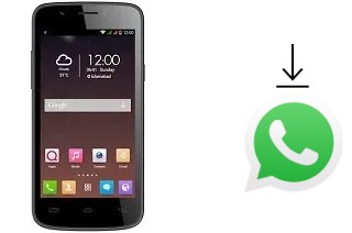 So installieren Sie WhatsApp auf einem QMobile Noir i7