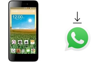 So installieren Sie WhatsApp auf einem QMobile Noir X800