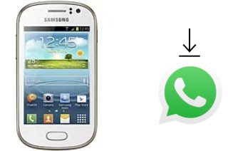 So installieren Sie WhatsApp auf einem Samsung Galaxy Fame S6810