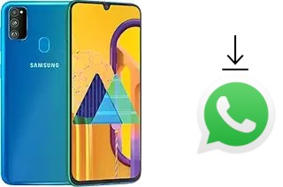 So installieren Sie WhatsApp auf einem Samsung Galaxy M30s