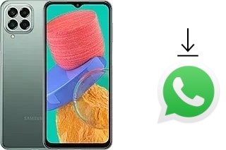 So installieren Sie WhatsApp auf einem Samsung Galaxy M33