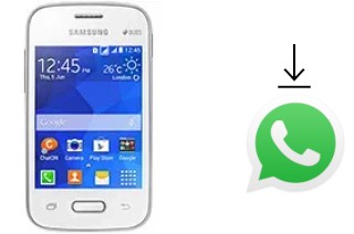 So installieren Sie WhatsApp auf einem Samsung Galaxy Pocket 2