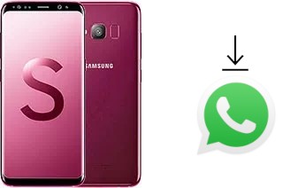 So installieren Sie WhatsApp auf einem Samsung Galaxy S Light Luxury