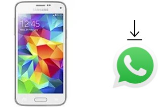 So installieren Sie WhatsApp auf einem Samsung Galaxy S5 mini