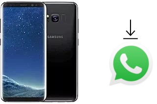 So installieren Sie WhatsApp auf einem Samsung Galaxy S8