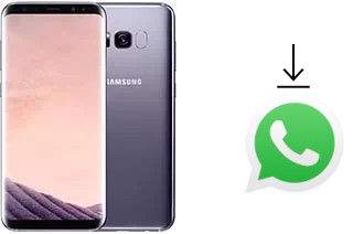 So installieren Sie WhatsApp auf einem Samsung Galaxy S8+