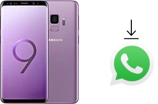 So installieren Sie WhatsApp auf einem Samsung Galaxy S9