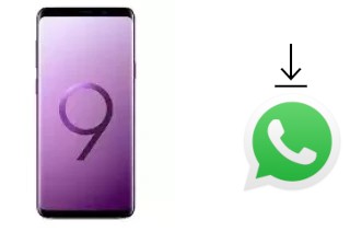 So installieren Sie WhatsApp auf einem Samsung Galaxy S9+ Exynos