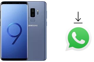 So installieren Sie WhatsApp auf einem Samsung Galaxy S9+