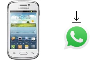 So installieren Sie WhatsApp auf einem Samsung Galaxy Young S6310