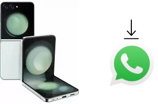 So installieren Sie WhatsApp auf einem Samsung Galaxy Z Flip5