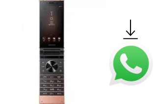 So installieren Sie WhatsApp auf einem Samsung W2019