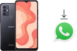 So installieren Sie WhatsApp auf einem Sharp Aquos V6