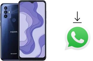 So installieren Sie WhatsApp auf einem Sharp Aquos V6 Plus