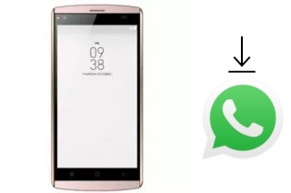 So installieren Sie WhatsApp auf einem SingTech P501