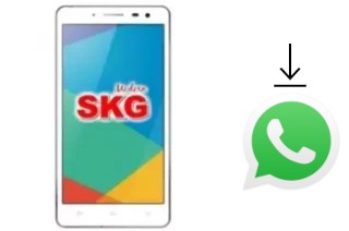 So installieren Sie WhatsApp auf einem SKG Modern S1