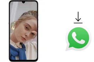 So installieren Sie WhatsApp auf einem Smartisan NUT PRO 3