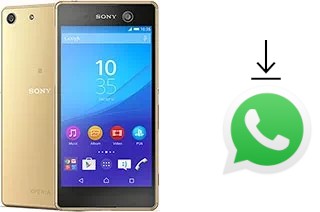 So installieren Sie WhatsApp auf einem Sony Xperia M5