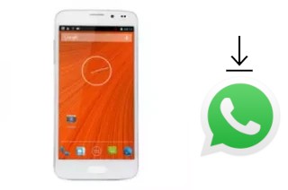 So installieren Sie WhatsApp auf einem Star N900 S5