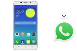 So installieren Sie WhatsApp auf einem Tashan TS821