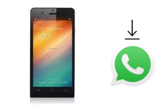 So installieren Sie WhatsApp auf einem Titan Q5