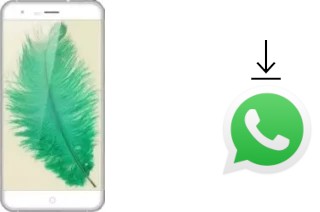 So installieren Sie WhatsApp auf einem Ulefone Paris Lite