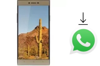 So installieren Sie WhatsApp auf einem VC Cactus