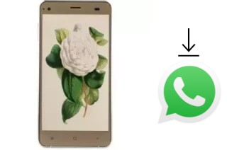 So installieren Sie WhatsApp auf einem VC Camellia II