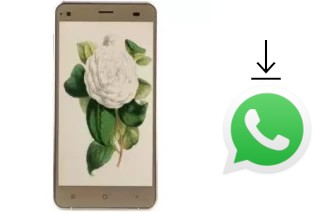 So installieren Sie WhatsApp auf einem VC Camellia